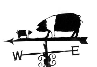 Pair of saddleback pigs weathervane